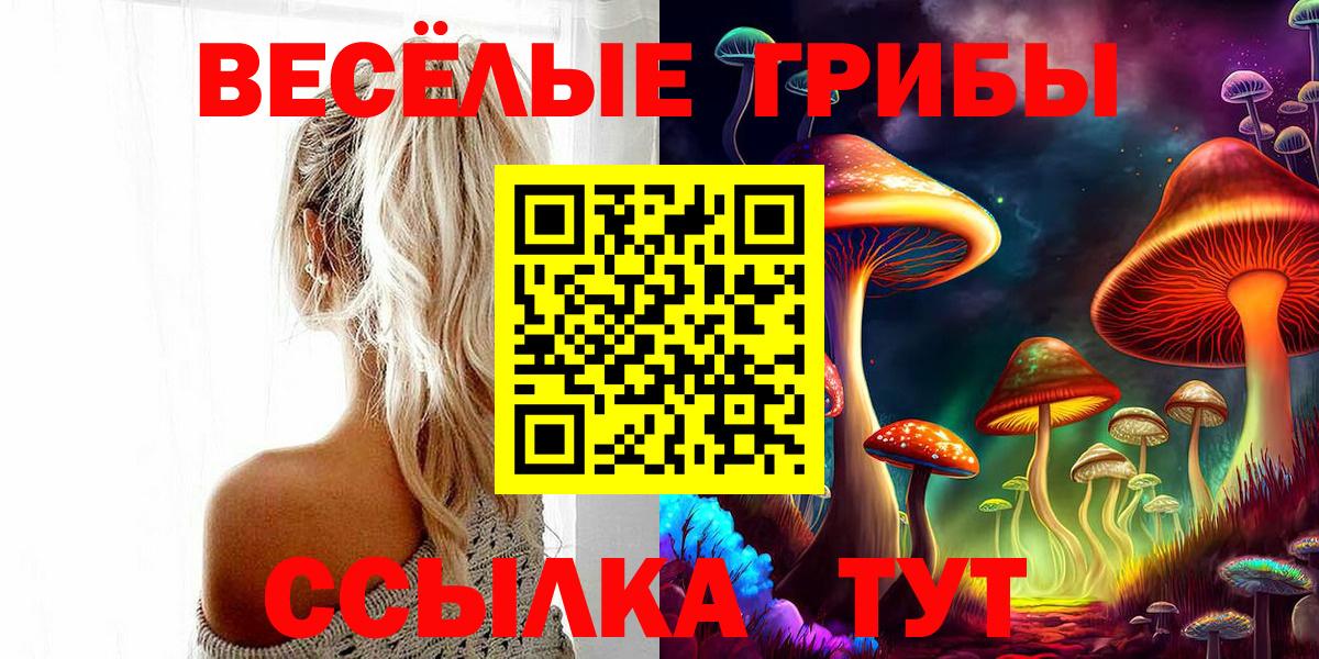 Галлюциногенные грибы Psilocybine cubensis  Галлюциногенные грибы GOLDEN TEACHER  Вход с VPN  Рассказово 