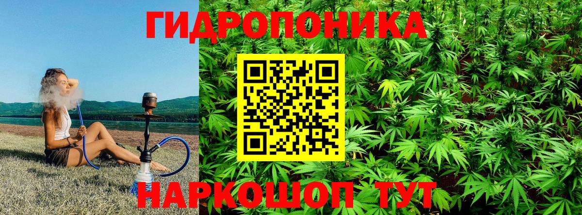 Бошки марихуана LSD WEED  Вход с VPN  Рассказово  Канабис Amnesia  Каннабис конопля 